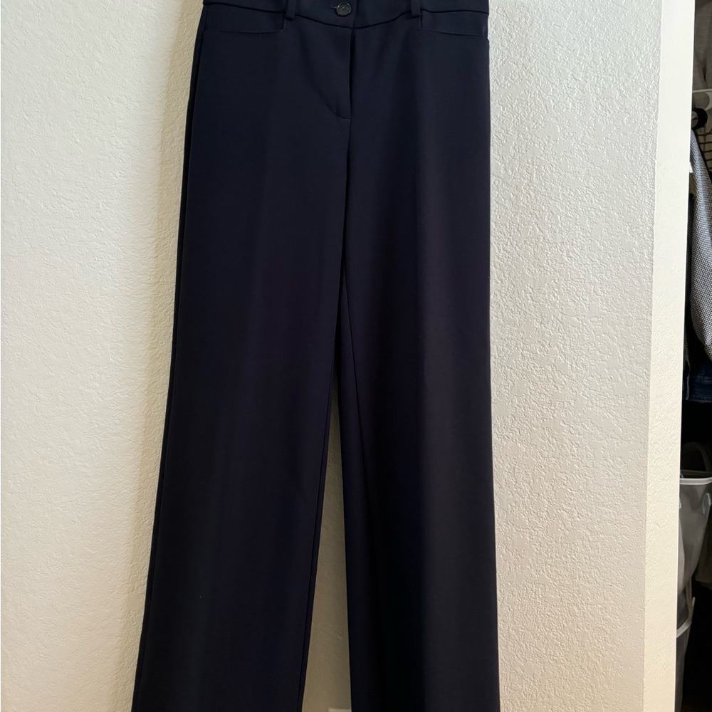 Elegant Loft Navy Women's Pants